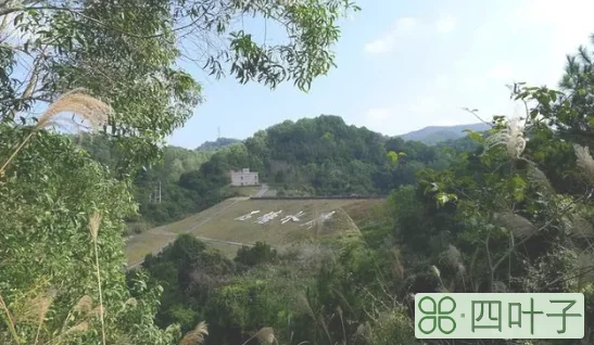 中山爬山去哪里比较好(中山徒步路线推荐)插图(15)