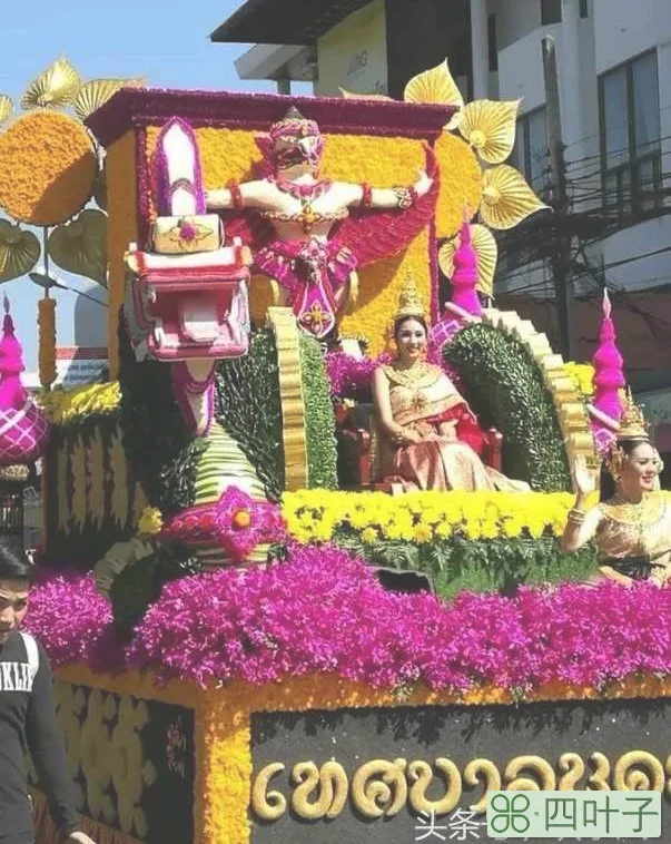 清迈花节会干什么(清迈花节活动大全)插图(11)