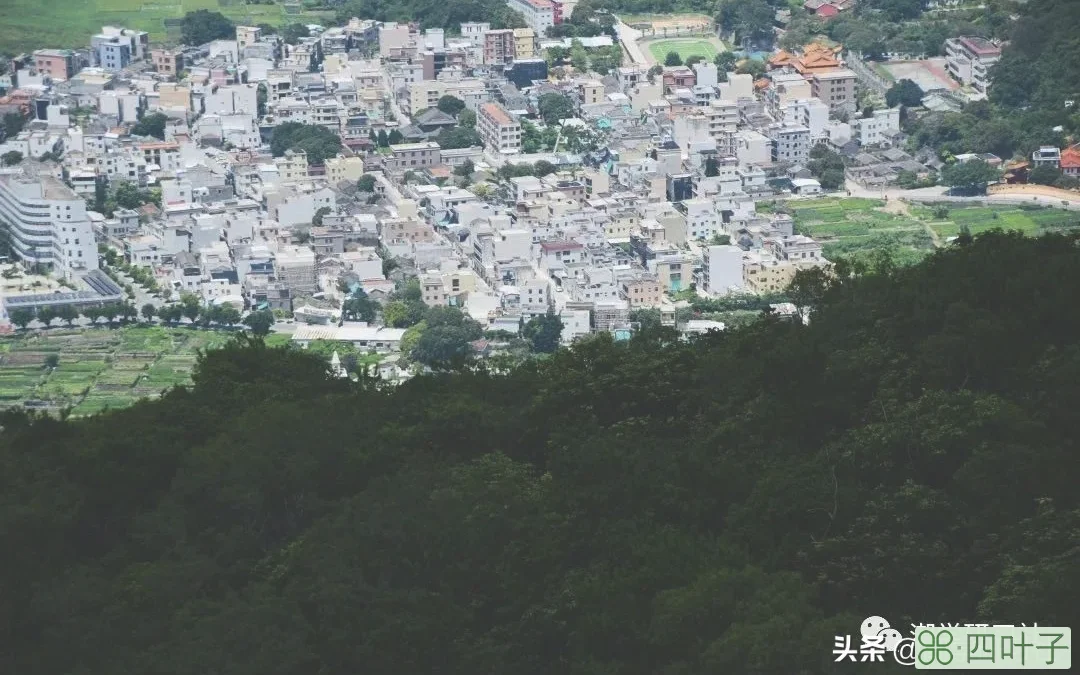 汕头南澳岛怎么游玩(汕头南澳岛旅游攻略)插图(8)