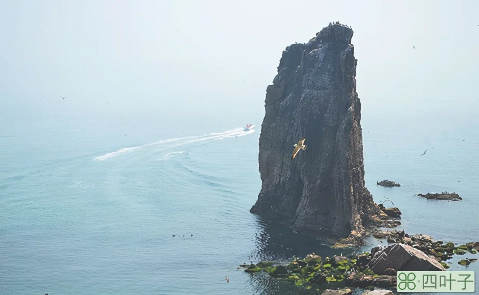 威海旅游攻略必去景点(威海最著名