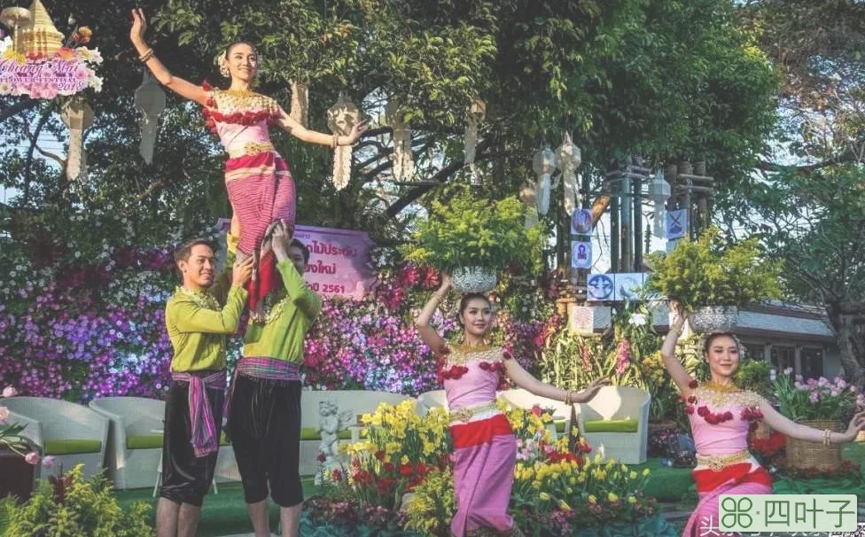 清迈花节会干什么(清迈花节活动大全)插图(26)