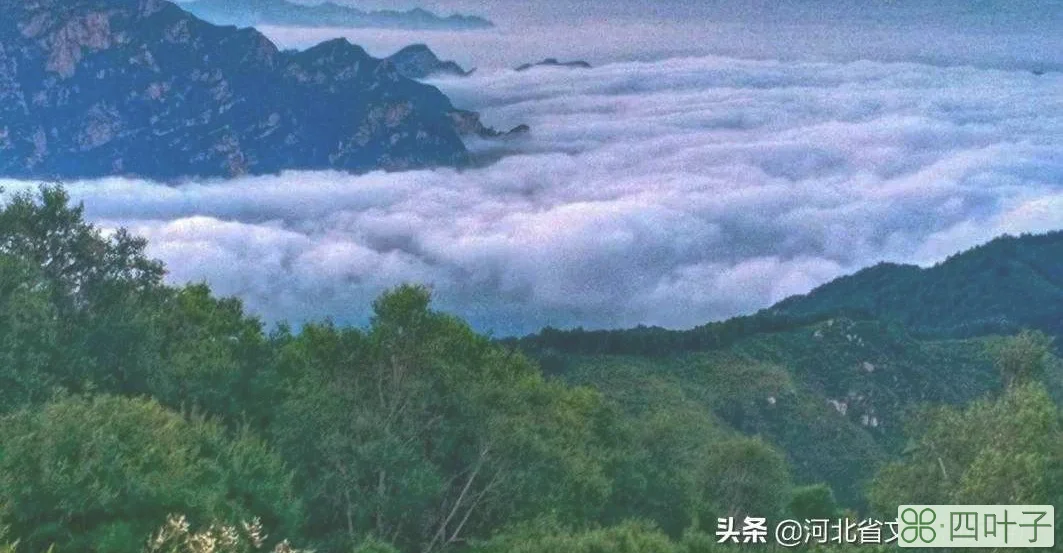 平山驼梁风景区简介