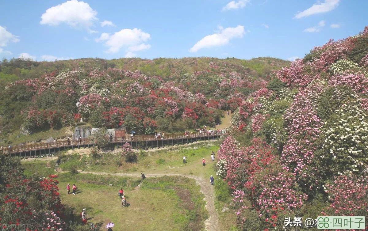 贵州最值得去旅行的十大景点，走遍神州大地，最美多彩贵州