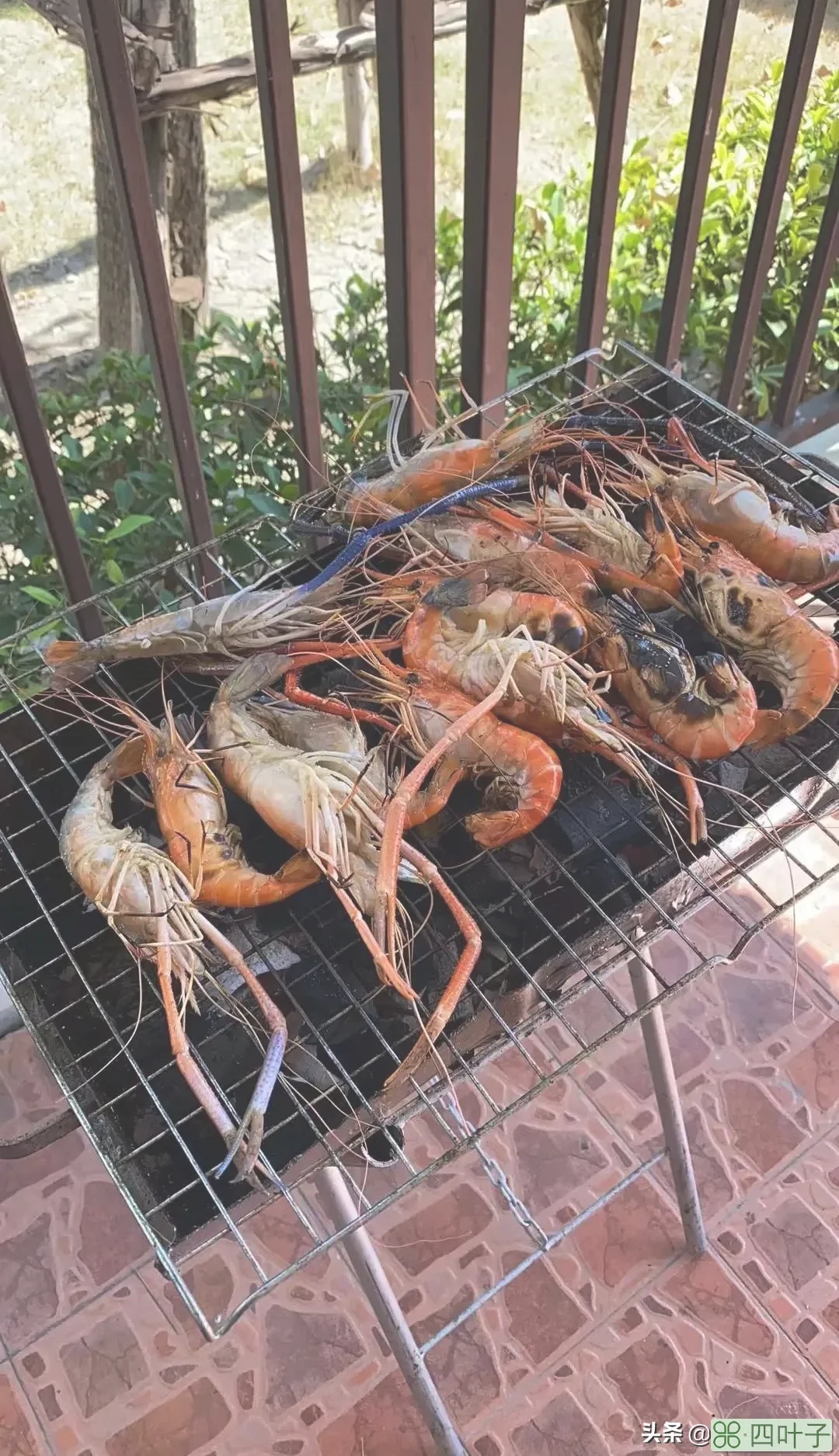 生活在泰国是种什么体验？看看联排别墅里的聚会