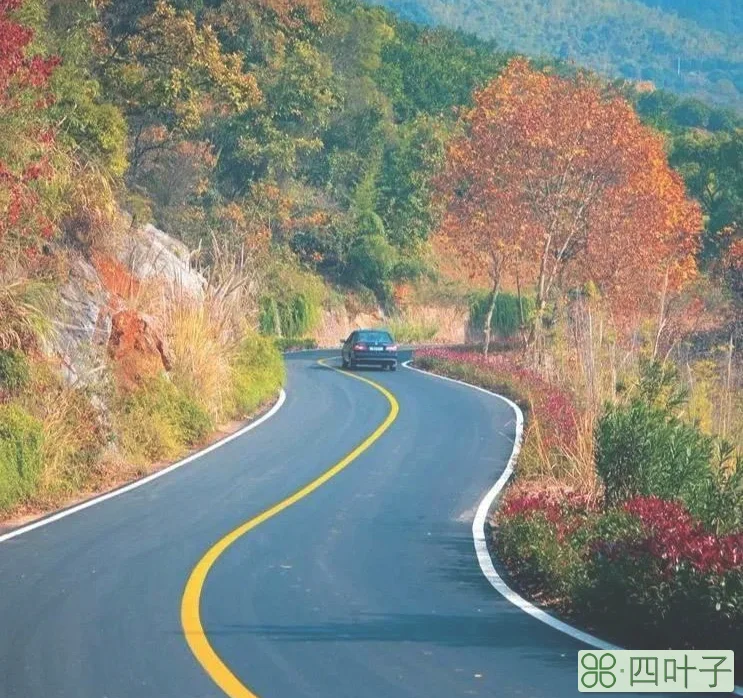 千岛湖度假村酒店(千岛湖最好的酒