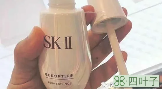 sk2小灯泡叫什么 为你详细介绍sk2小灯泡