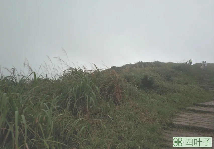 福建大嵛山岛好玩不(游玩福建大嵛山岛感受)插图(7)