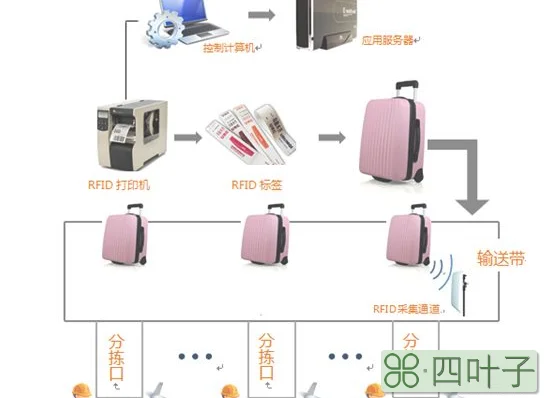 坐飞机可以带多少行李(能携带行李重量及托运流程)