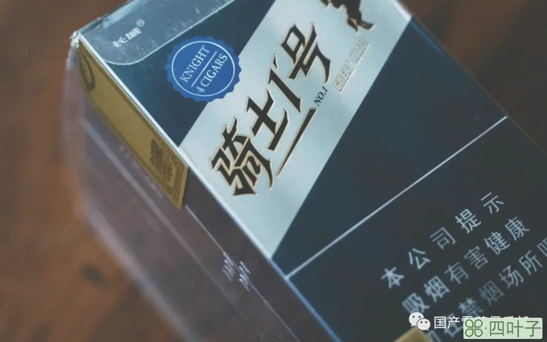 骑士一号 | 派茄先生的口袋新品