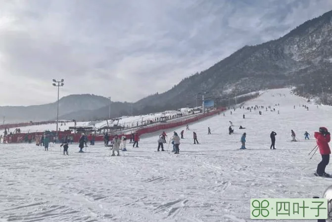 西岭雪山一天怎么玩最好(成都到西岭雪山一日游攻略)插图(5)