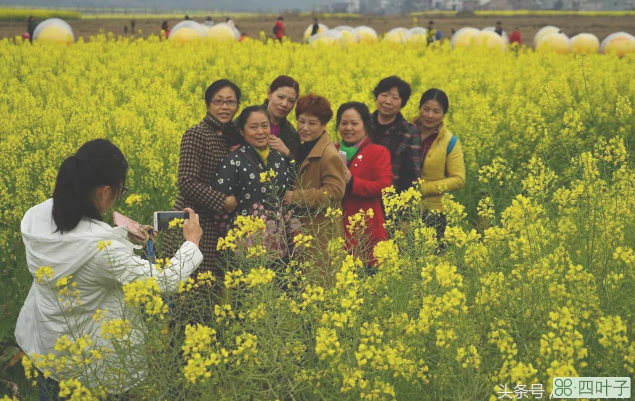 湖南茶陵(茶陵县县长)