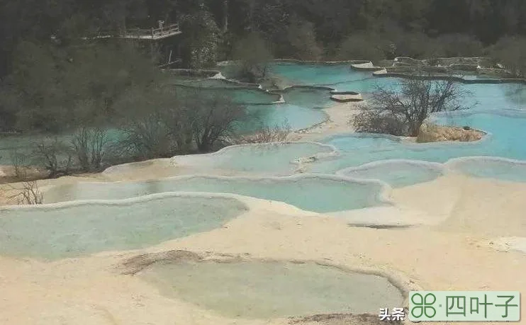 四川旅游攻略景点必去(四川旅游必去的景点大全)