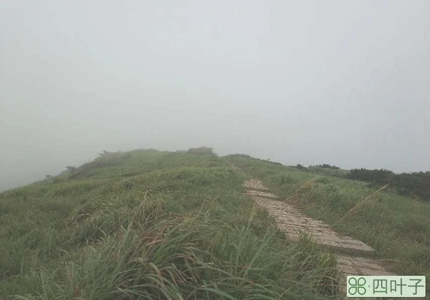 福建大嵛山岛好玩不(游玩福建大嵛山岛感受)插图(8)