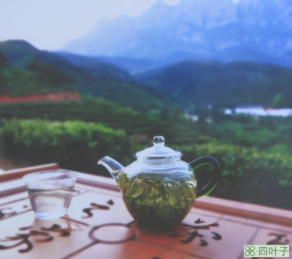 江西庐山盛产什么茶叶(庐山云雾茶详细介绍)插图(5)