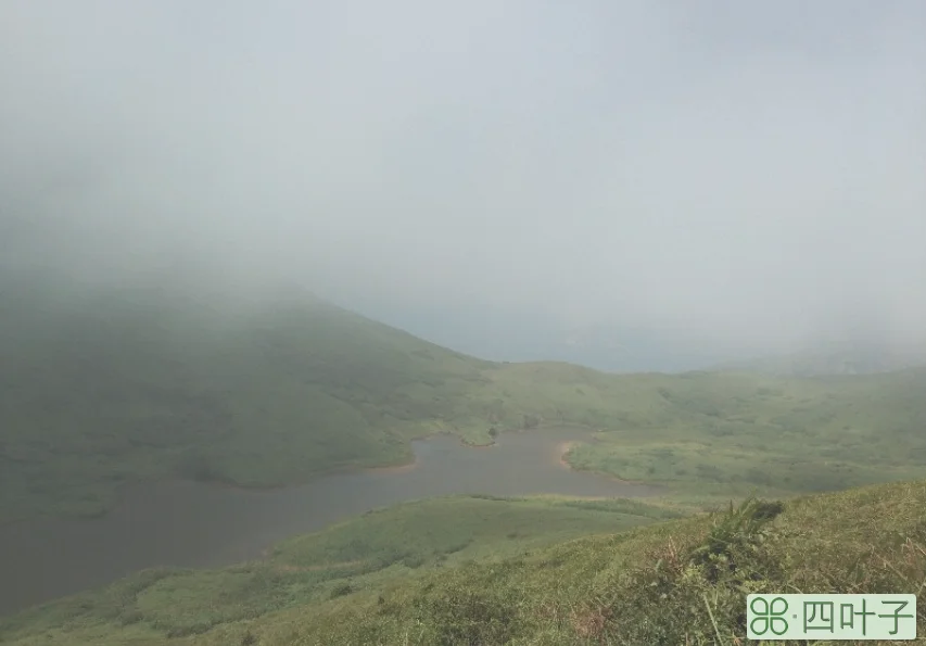 福建大嵛山岛好玩不(游玩福建大嵛山岛感受)插图(6)