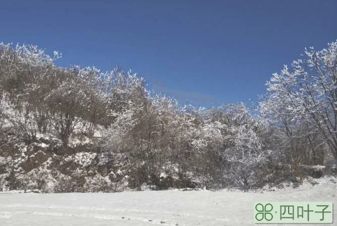 西岭雪山简单介绍(西岭雪山的简介)