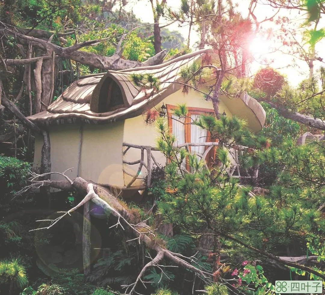 深圳青青世界，住浪漫树屋！双早双晚，热带雨林探秘两日游很便宜