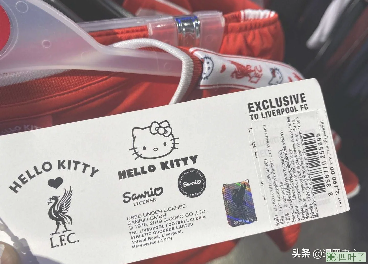 HelloKitty加盟英超冠军利物浦？这联名款战袍真可爱