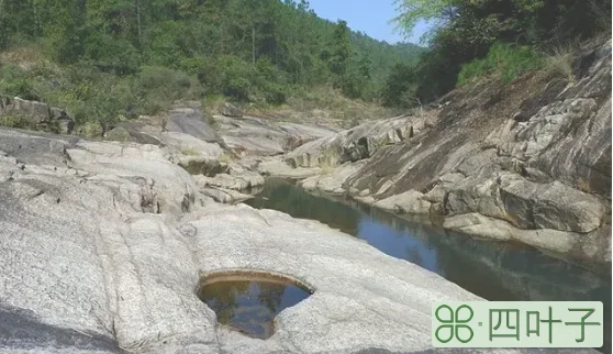 中山爬山去哪里比较好(中山徒步路线推荐)插图(16)