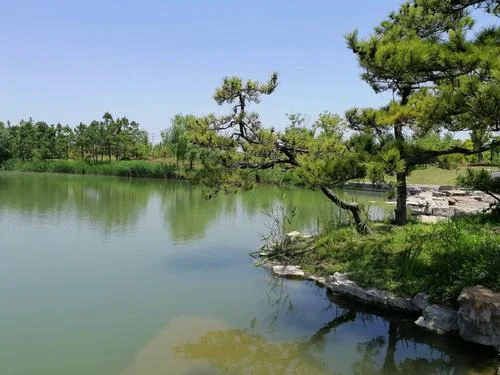 扬州风栖湖公园在哪