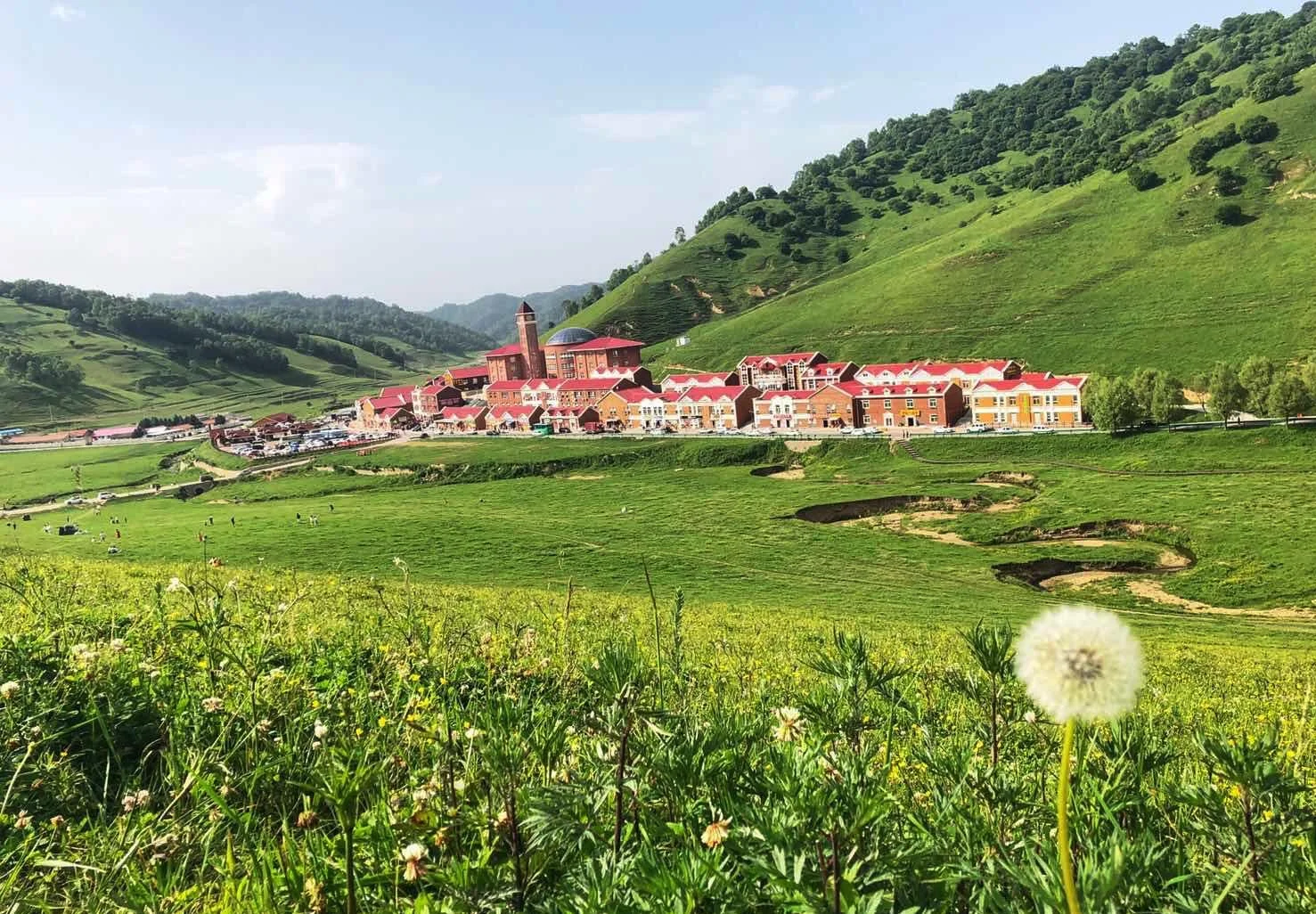 关山牧场和关山草原区别