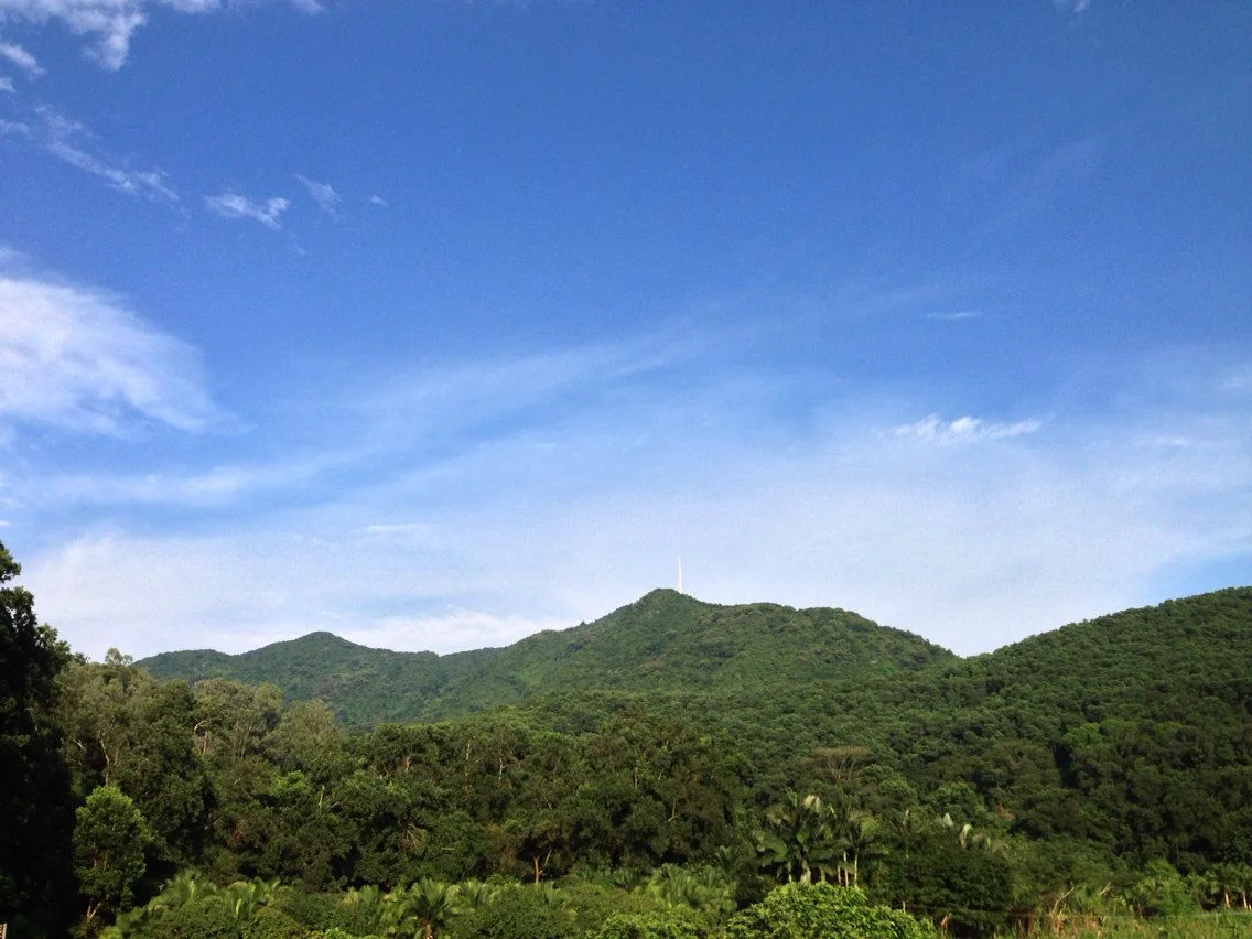 仙湖植物园里有什么特色美食