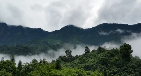 黑竹沟风景区海拔