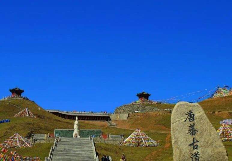 唐蕃古道指的是哪条路线