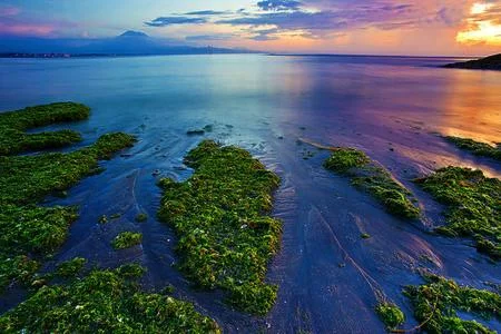 适合夏天去的海岛