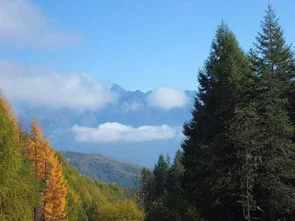 神木垒红叶最佳时间