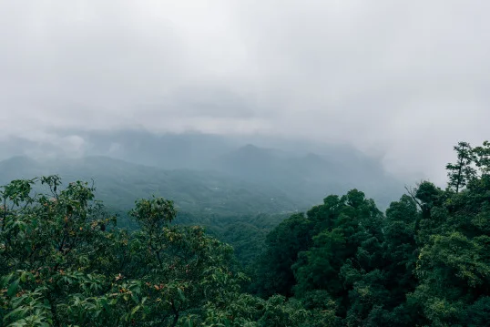 青城山有必要坐索道吗