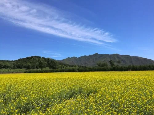 唐指山风景区有哪些景点