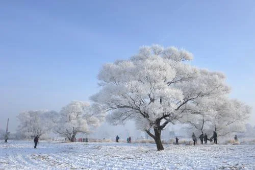 办日本签证照片有什么要求