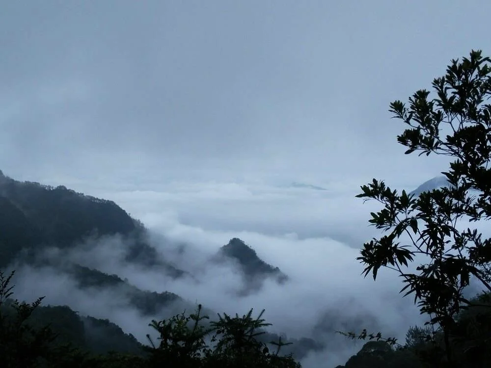 芒荡山风景名胜区介绍