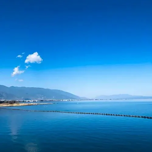 大理洱海喂海鸥在哪里