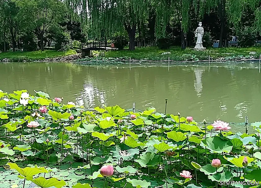 营口景点:熊岳植物园