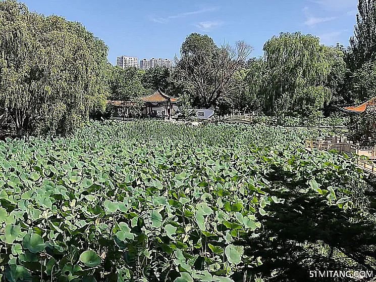 盘锦景点:辽河碑林公园