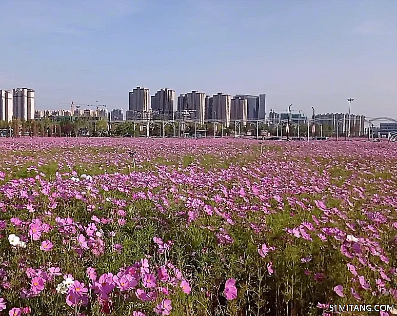 沈阳景点:蒲河花海公园