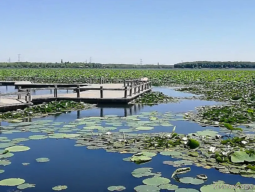 铁岭景点:莲花湖城市湿地公园