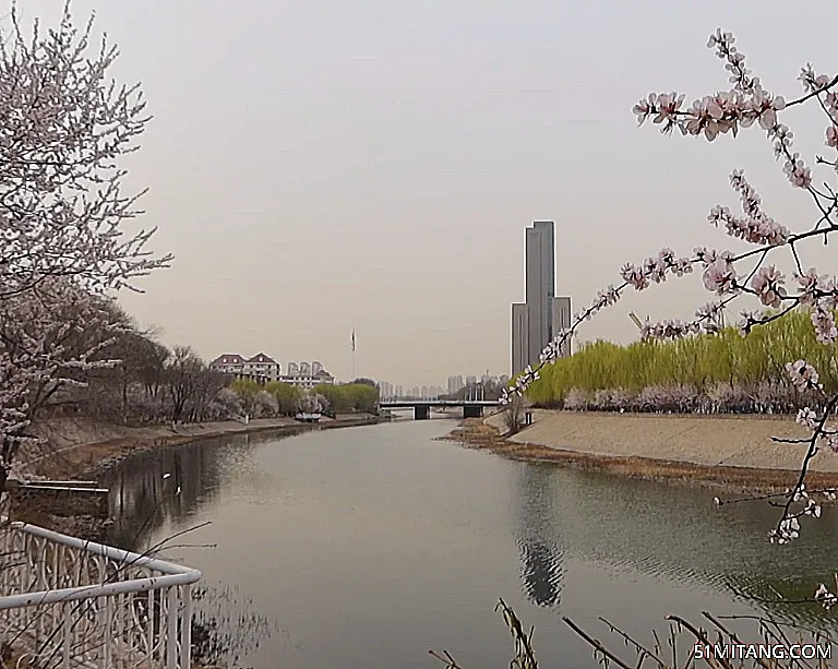 天津旅游景点:桃花园