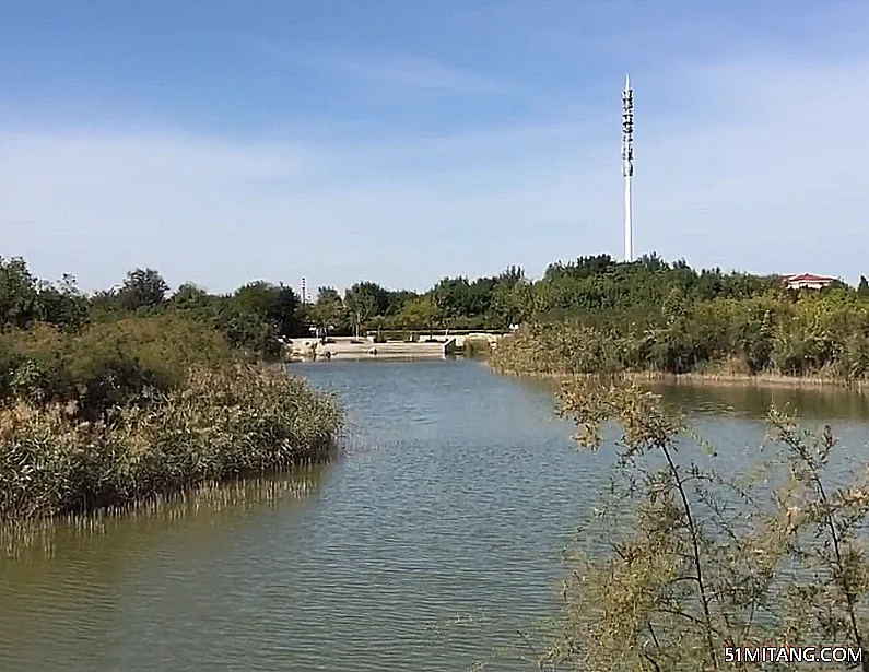 天津旅游景点:大港湿地公园