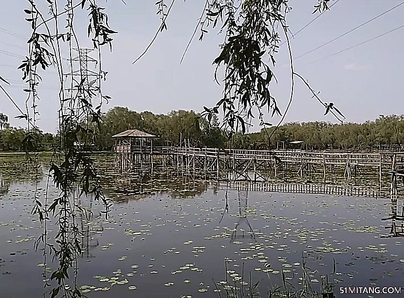 营口景点:野草河湿地