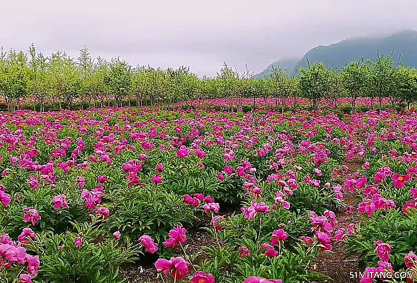 丹东景点:心海生态园