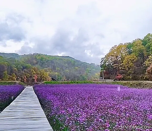 抚顺景点:火石沟花海生态农场