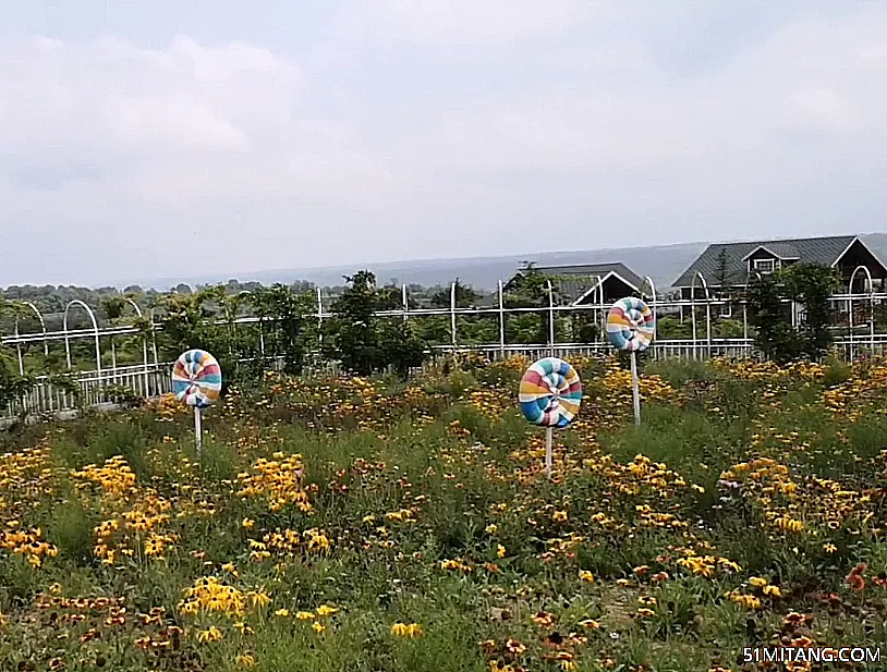 天津旅游景点:北运河百花园