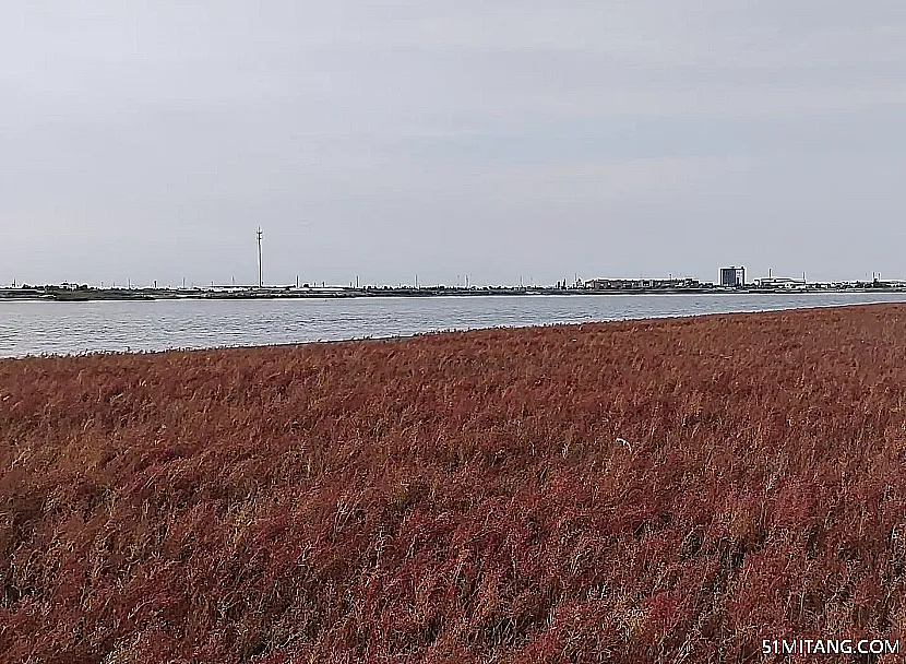 营口景点:永远角湿地