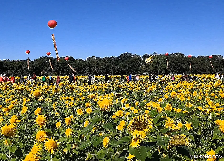 沈阳景点:远方田野