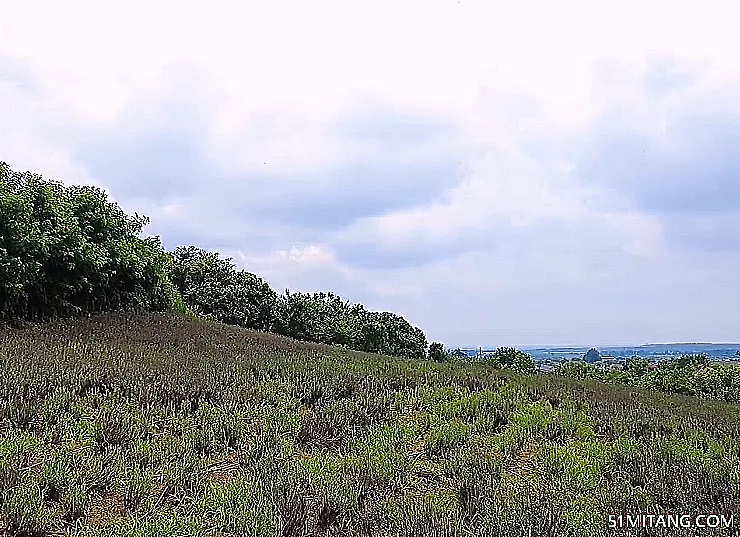 大连景点:玫瑰美羊庄园