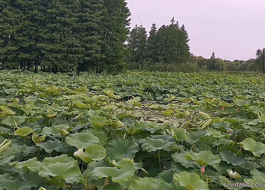 锦州景点:黑山莲花湖景区