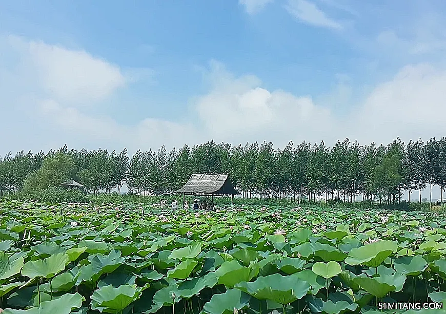 大连景点:芦海荷畔度假村